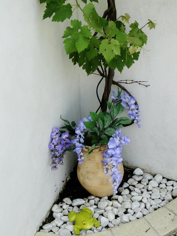 La Petite Maison sur l'Ile de Ré La Flotte Extérieur photo